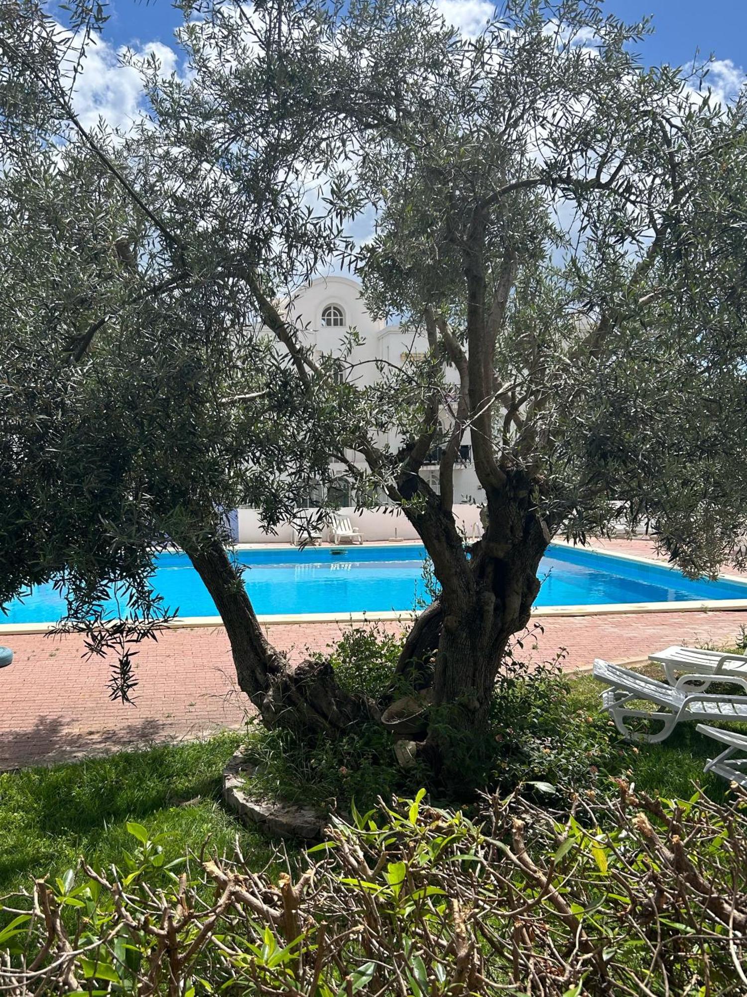 Tavira Garden 16 Apartment Екстериор снимка